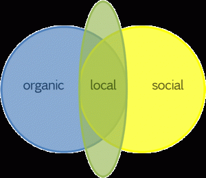 Social Local Organic Search Results